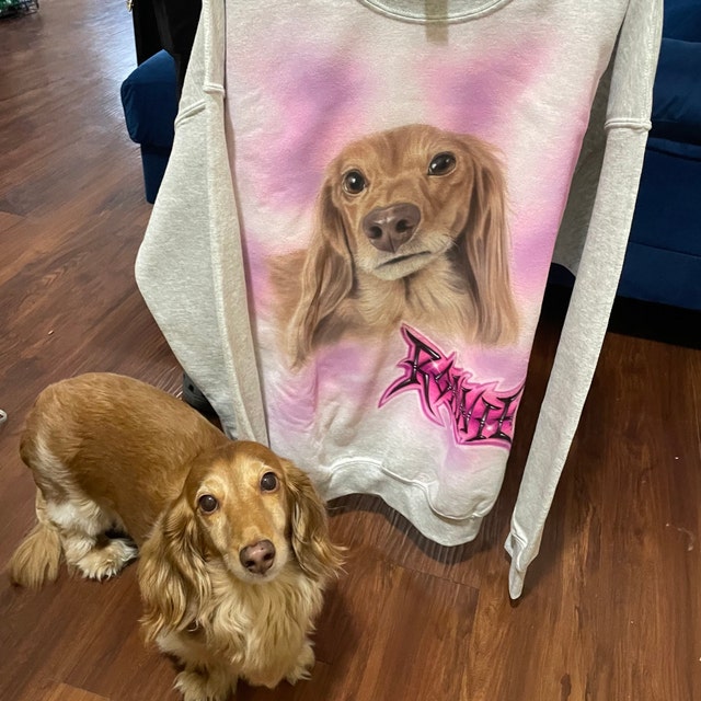 Pet Portrait Custom Airbrush Photo-Realistic, Hand Painted from Your Image Tee, Sweatshirt Hoodie