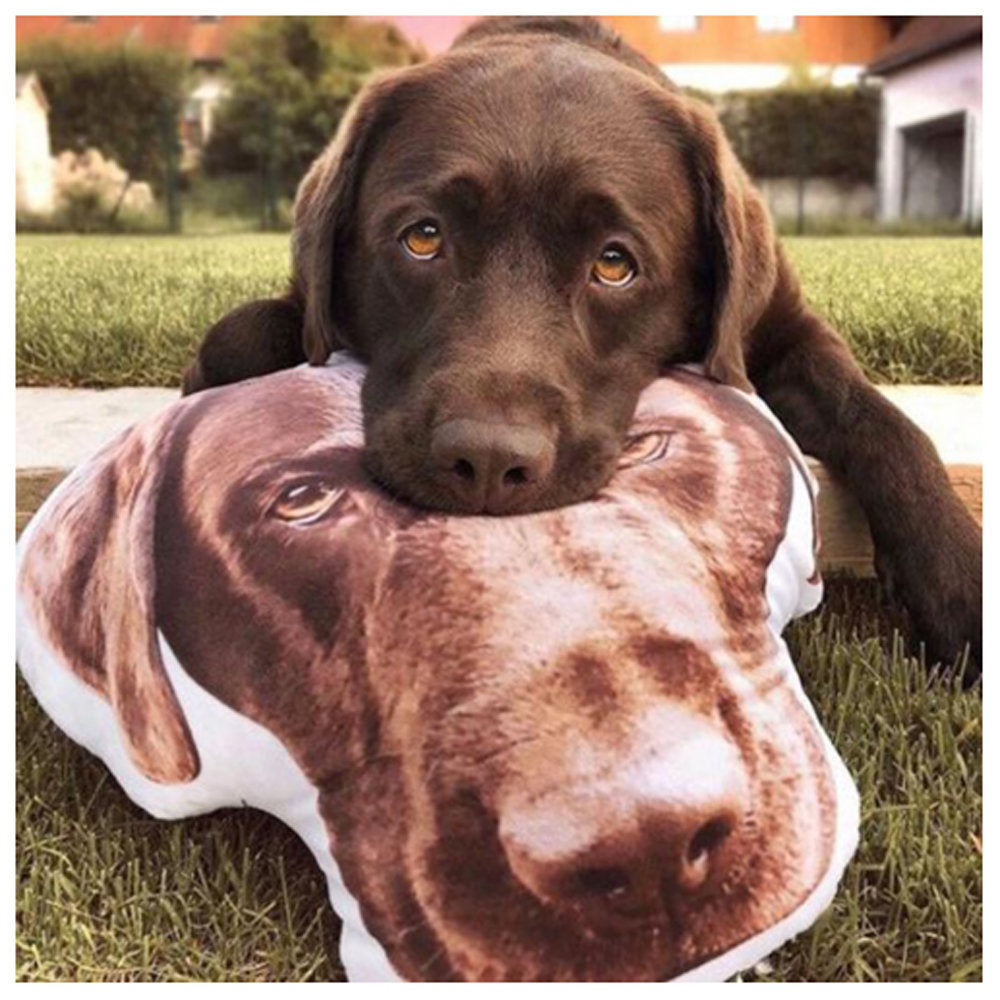 Custom Pet Pillow, Custom Pet Shaped Pillow, Christmas Gifts, Personalized Shaped Pillow