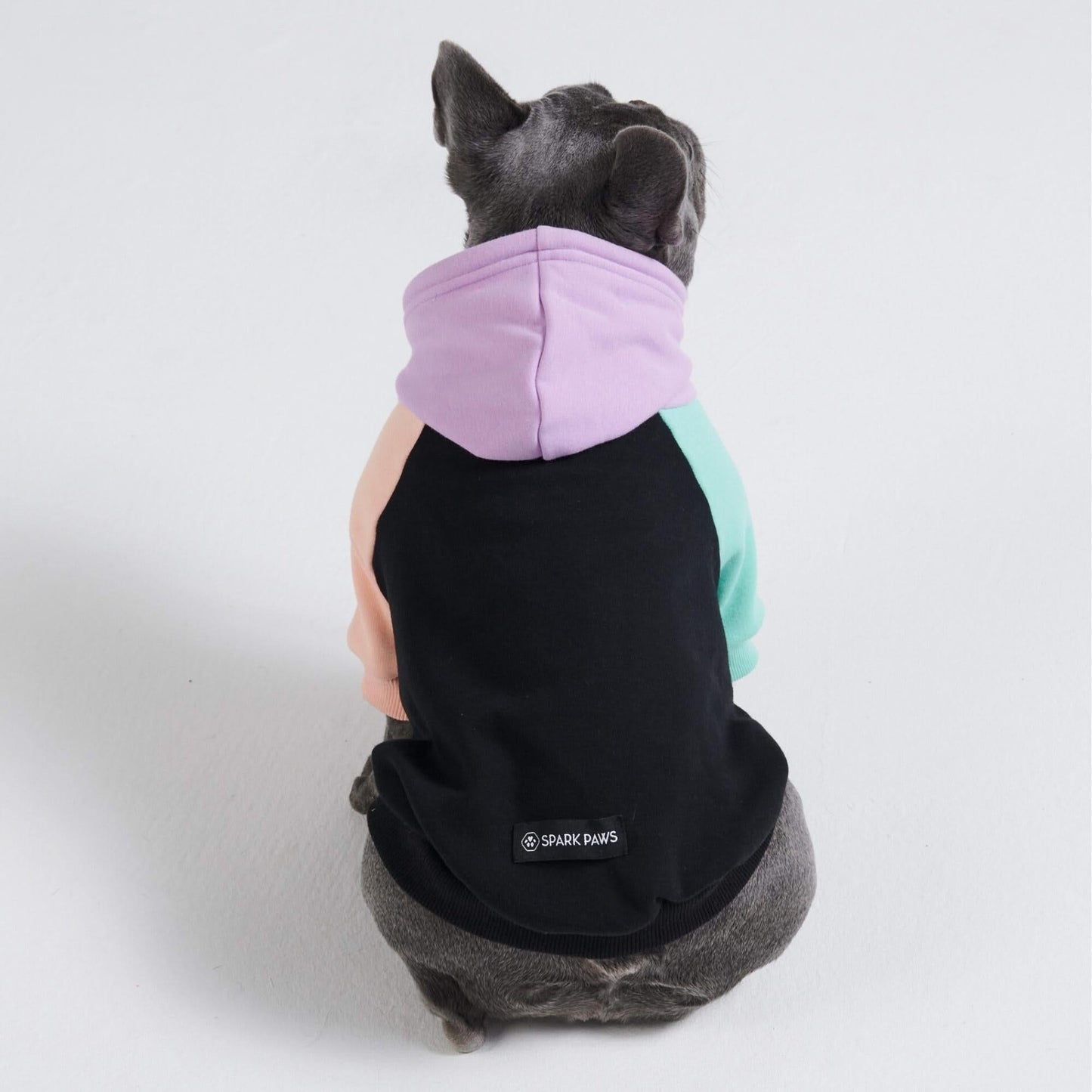 Cyber Punk Dog Hoodie