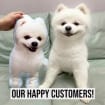 3D Personalized pet photo cushion animal pillow