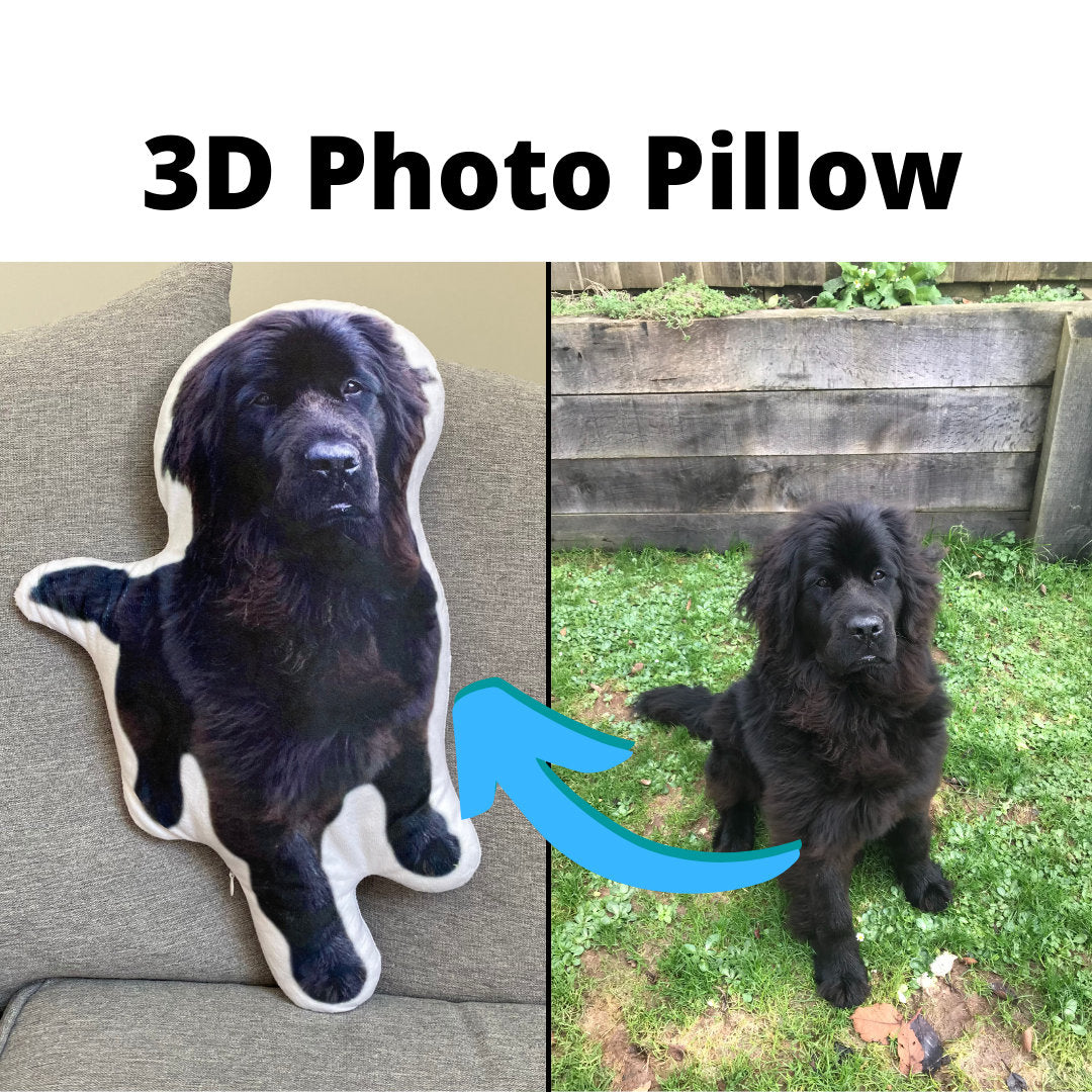 3D Personalized pet photo cushion animal pillow