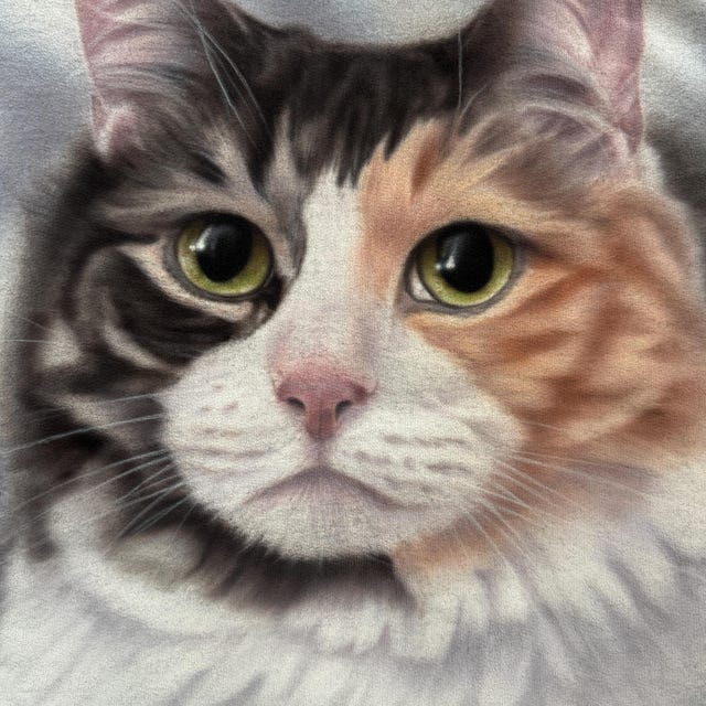 Pet Portrait Custom Airbrush Photo-Realistic, Hand Painted from Your Image Tee, Sweatshirt Hoodie