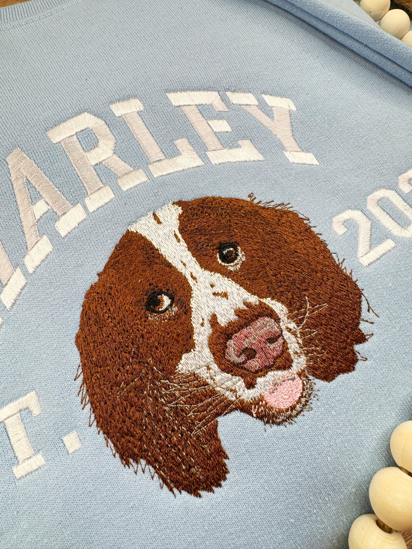 Collegiate Pet Portrait Sweatshirt