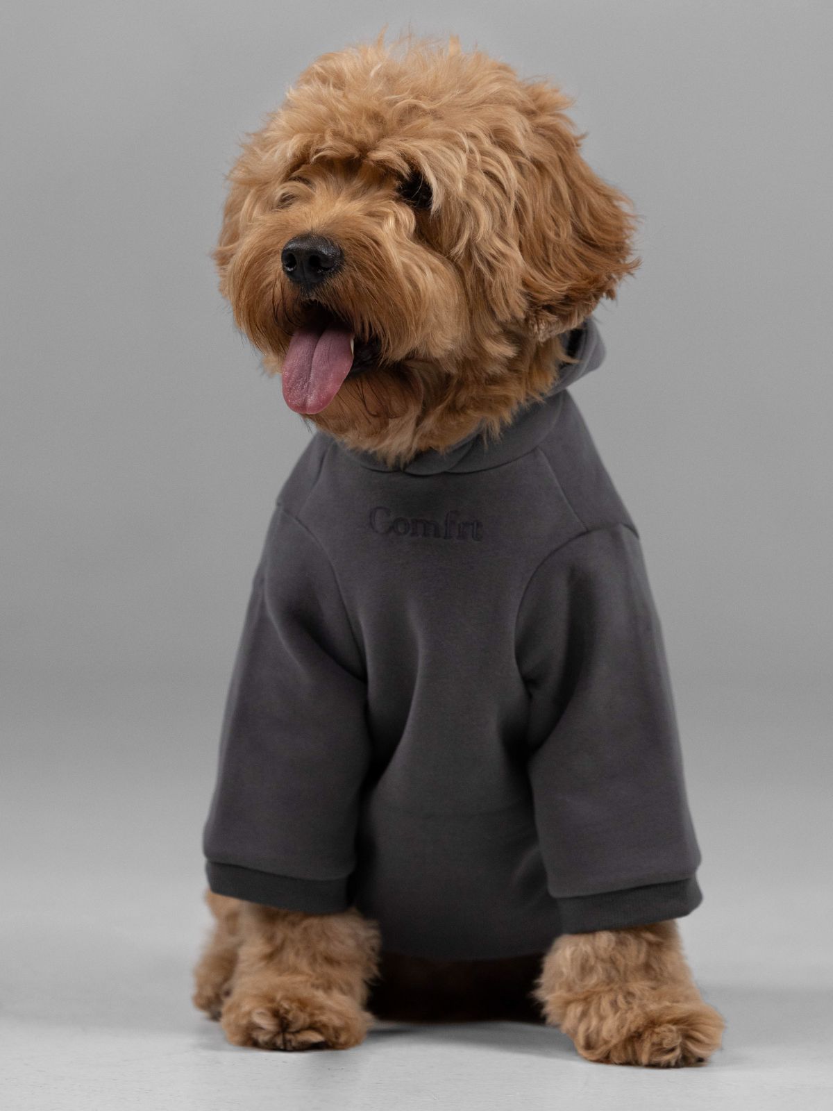 Customized Paw Hoodie Human clothing