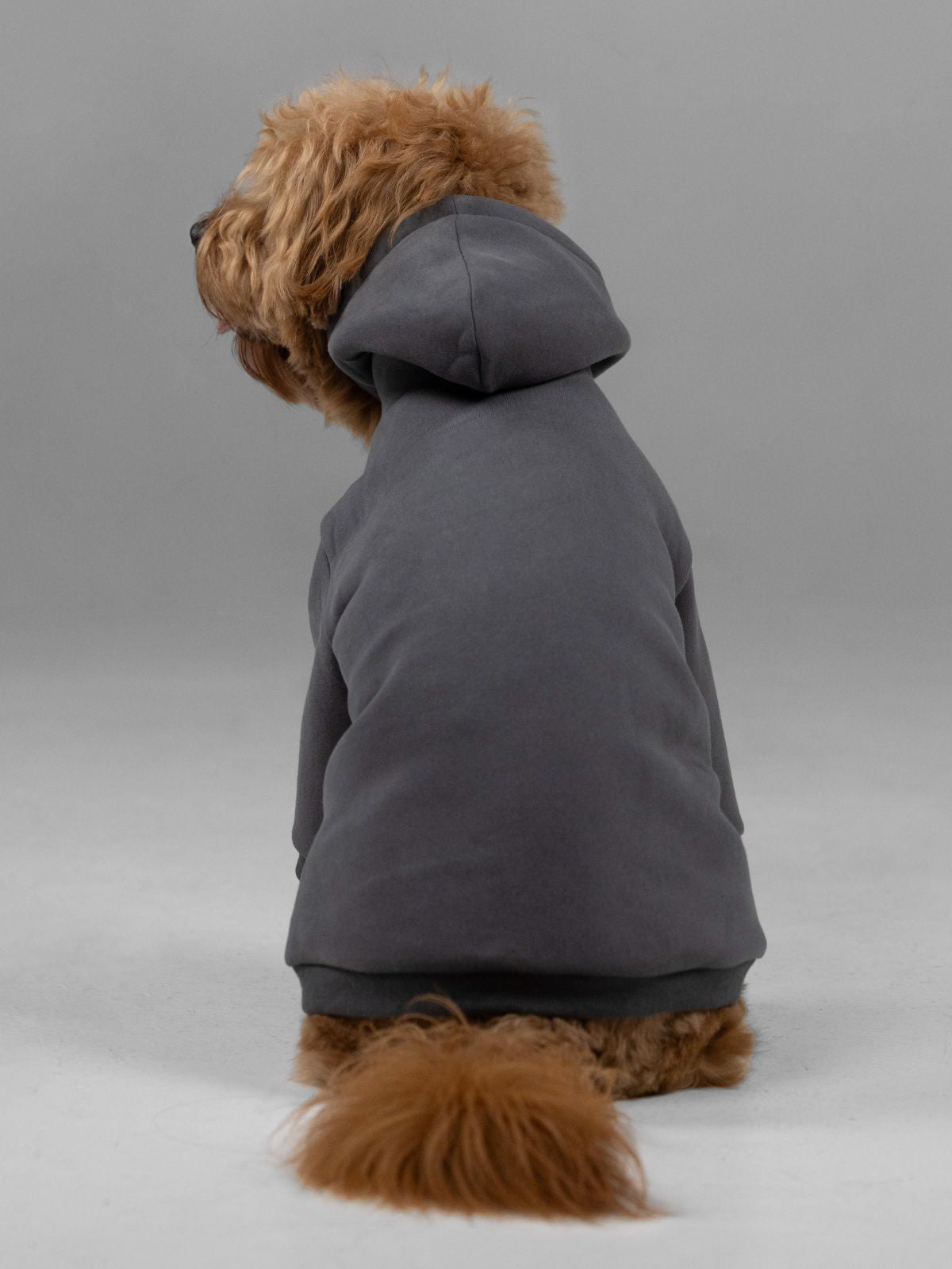 Customized Paw Hoodie Human clothing