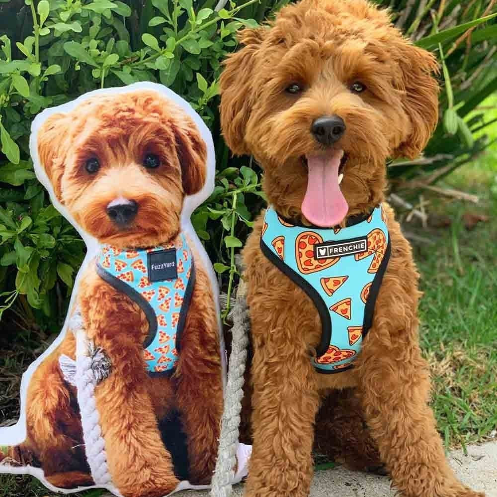 3D Personalized pet photo cushion animal pillow