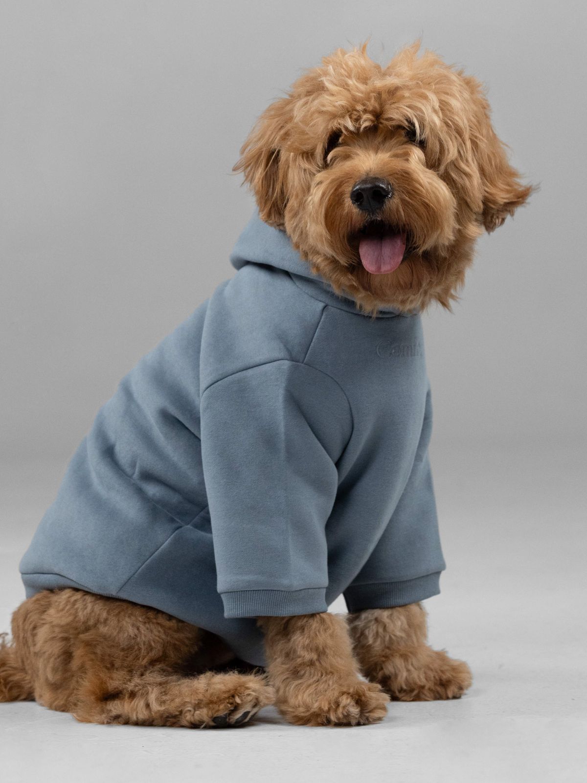 Customized Paw Hoodie Human clothing