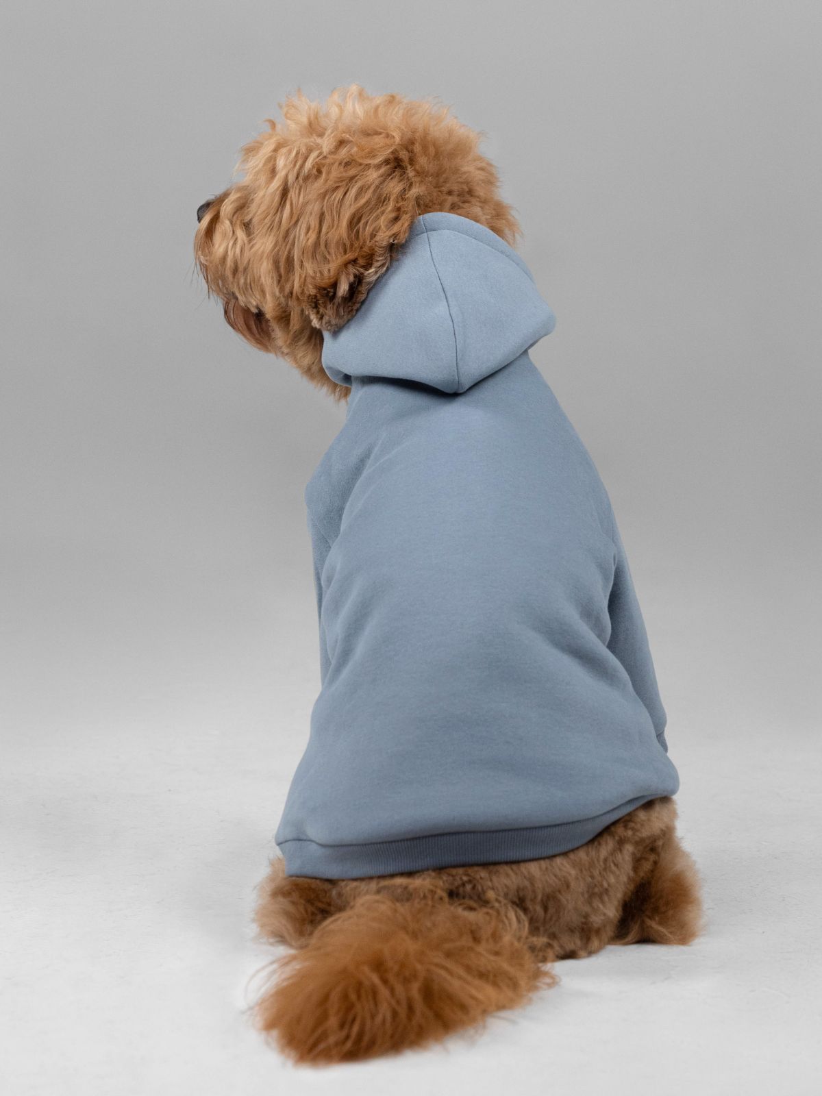 Customized Paw Hoodie Human clothing