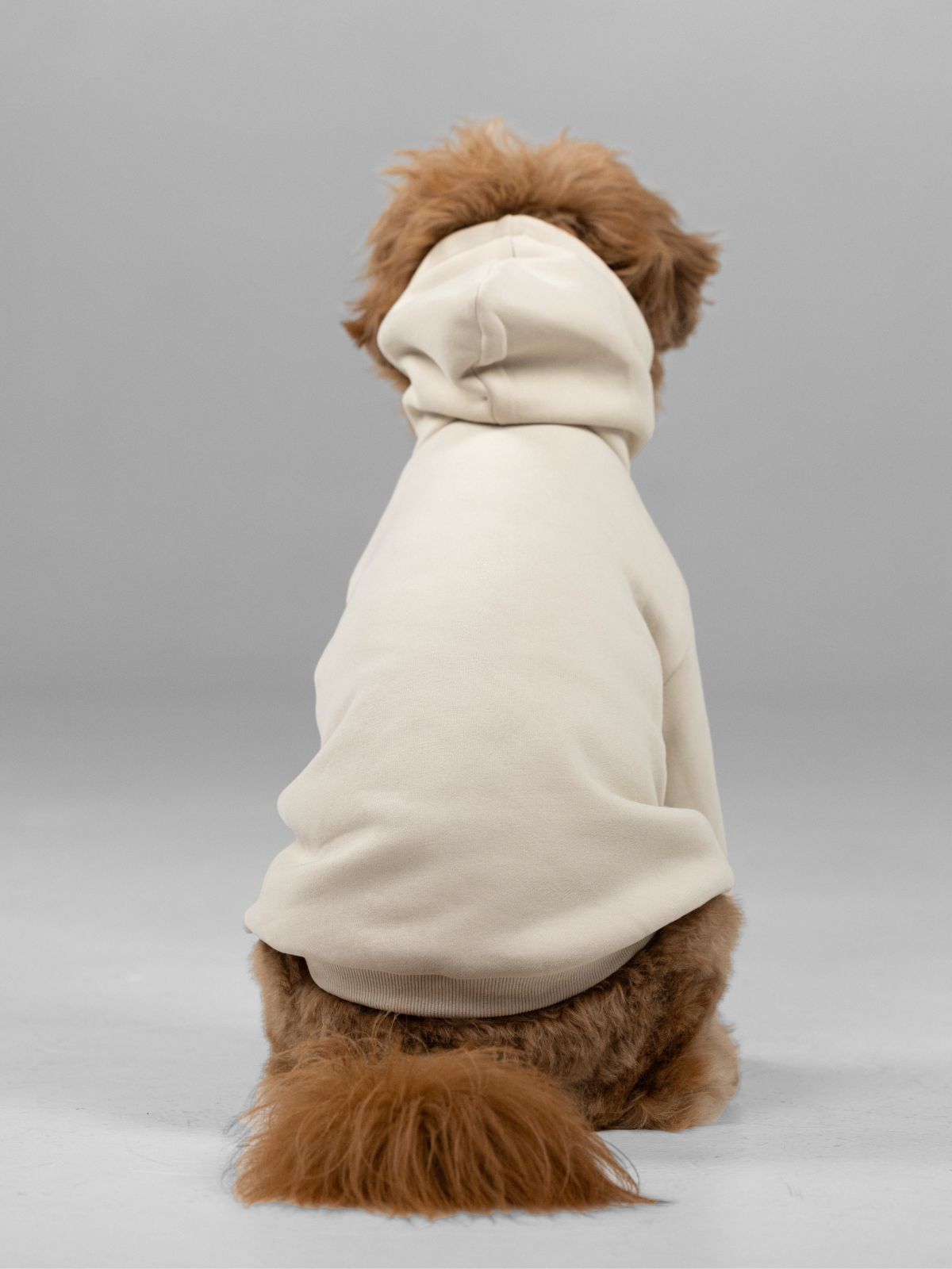 Customized Paw Hoodie Human clothing