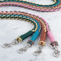 Dog colorful leash  matching, sport leash