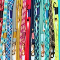 Dog colorful leash  matching, sport leash