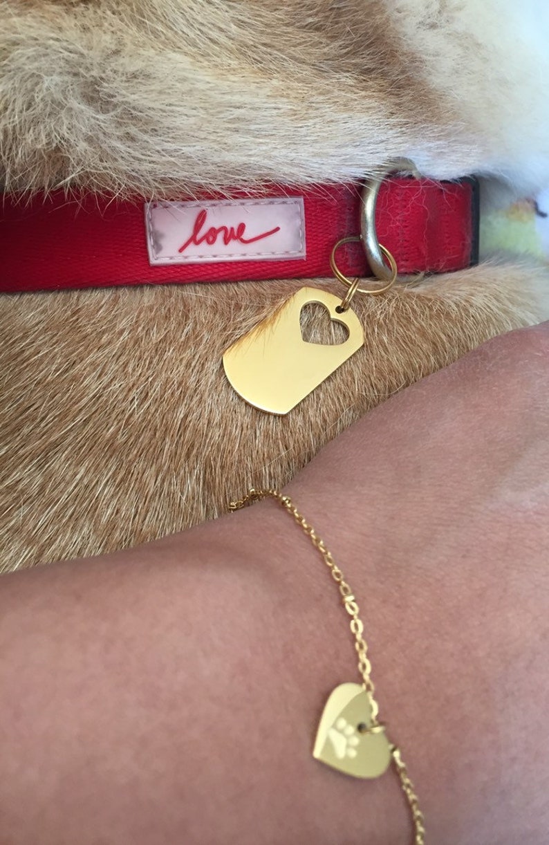 Bracelet with Pet love dog ID tag combine