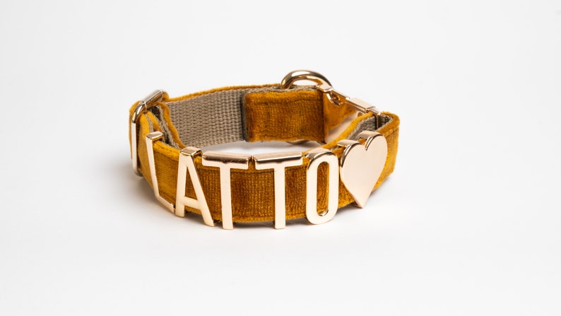 Gold Letter Personalized Collar, Personalized Dog Collar, Personalized Collars with Metal Letter Name, Dog Collar Orange.